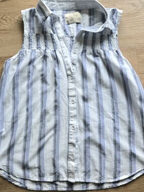 Old Ranch Sleeveless Button Front Top - Light Blue & White Stripes XL